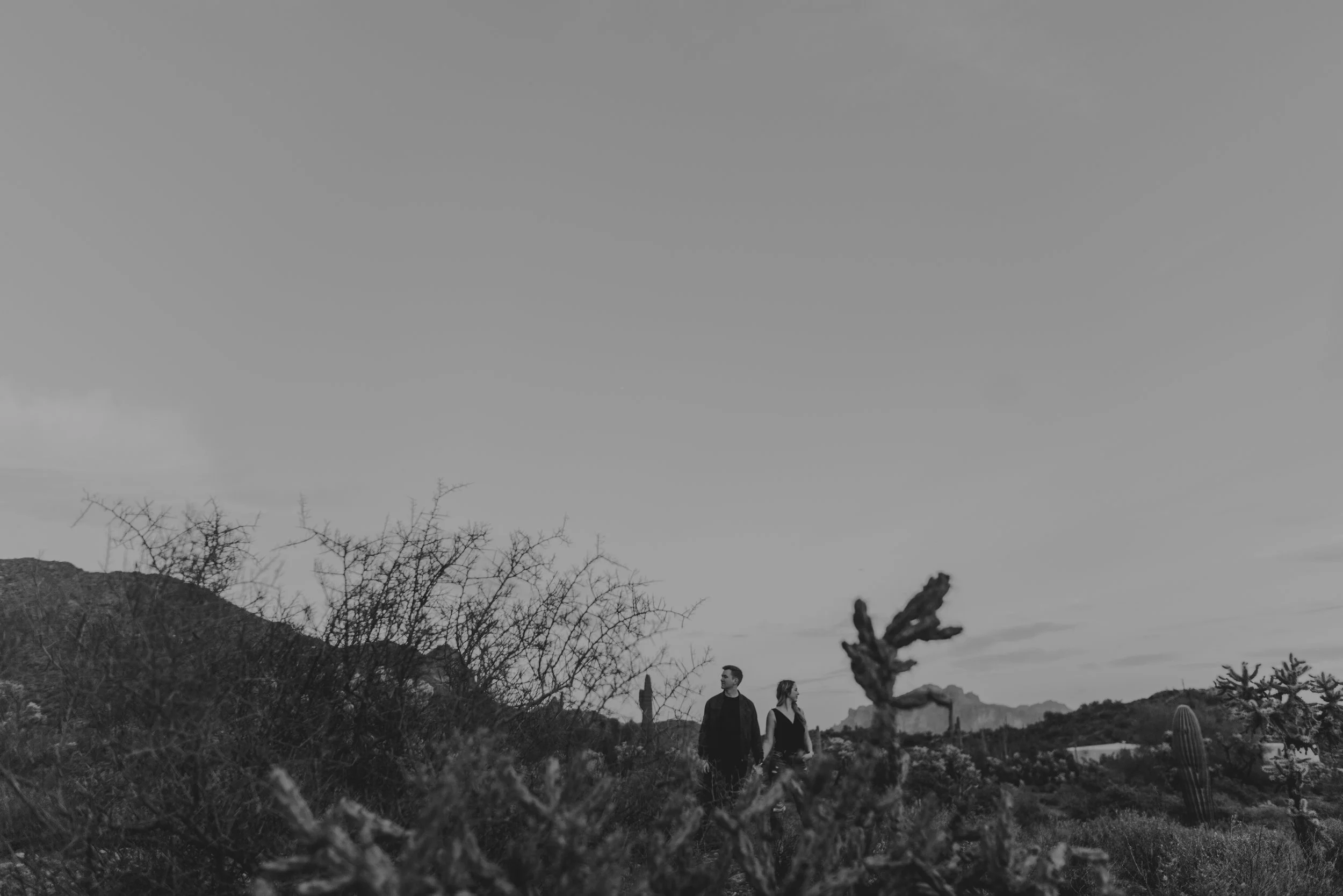 Couple standing small among desert brush and cactus beneath a wide dusk sky, in black and white